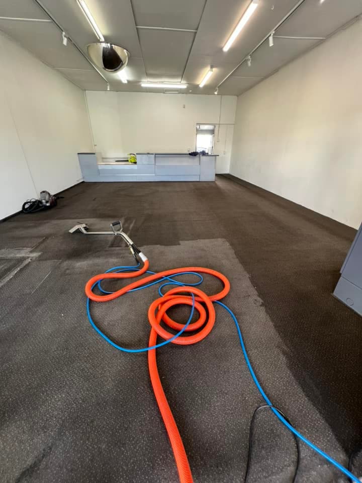 After Carpet Cleaning