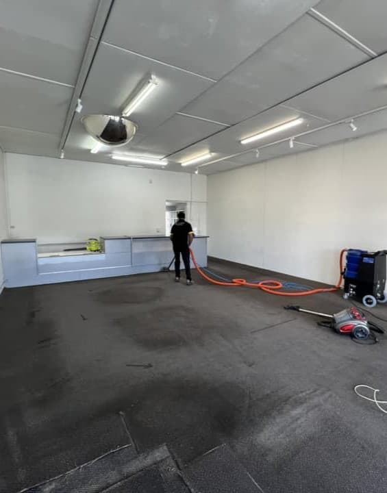 Before Carpet Cleaning Image